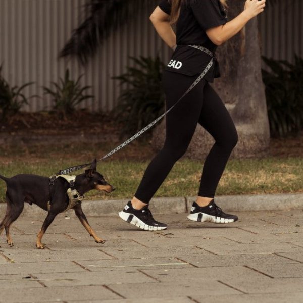 Correa para perros manos libres FY Active - vista 3