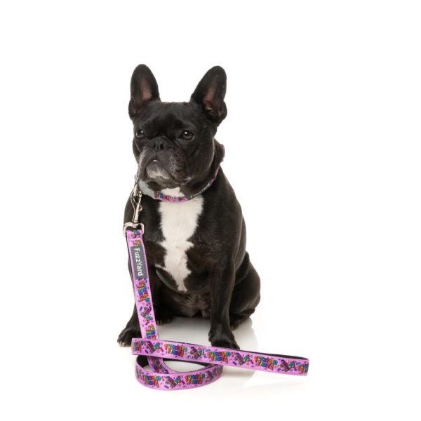FIESTA - Collar para perros - vista 2