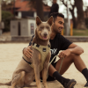 Khaki - Arnés GO FY Active  para perros - vista 3