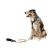 Khaki - Correa para perros de cuerda FY Active - vista 3