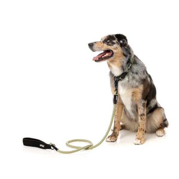 Khaki - Correa para perros de cuerda FY Active - vista 3
