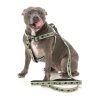 Khaki - Correa para perros FY Active - vista 2