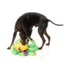 Octo the Outrageous - Juguete para perros - vista 3