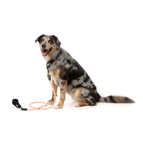 Peach - Correa para perros de cuerda FY Active - vista 3