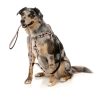 Peach - Correa para perros FY Active - vista 2