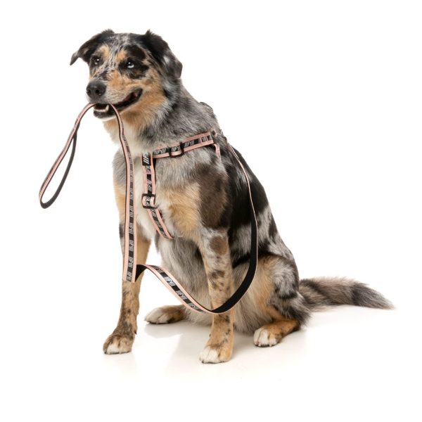 Peach - Correa para perros FY Active - vista 2