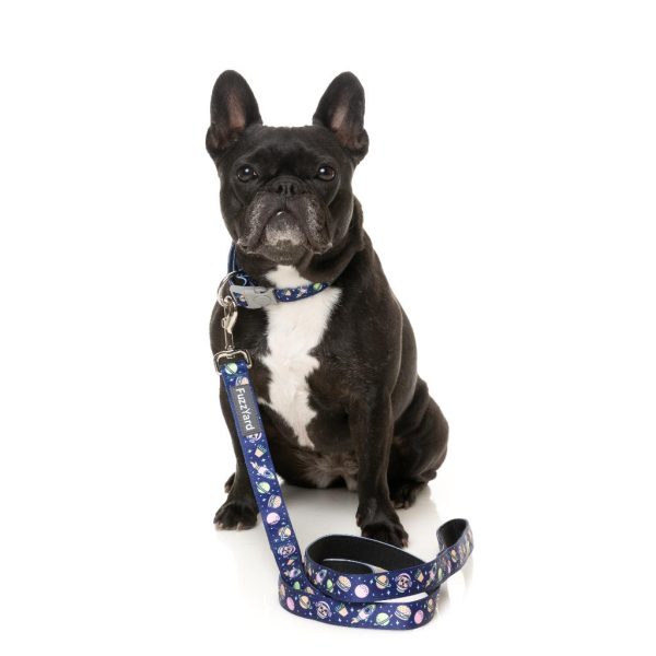 PLUTO PUP - Collar para perros PLUTO PUP - Collar para perros - vista 2