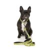SK8TER GATOR - Collar para perros - vista 2