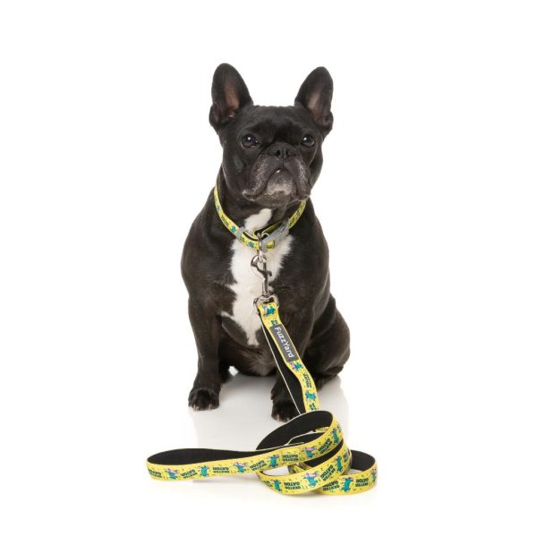 SK8TER GATOR - Collar para perros - vista 2