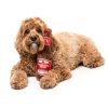 Barking Beer - Juguete para perros - vista 2