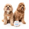 Baseball - Juguete para perros - vista 2