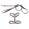 CAT WALKING SET - MEOWCARONS CAT WALKING SET - MEOWCARONS