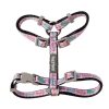 CAT WALKING SET - MEOWCARONS CAT WALKING SET - MEOWCARONS - vista 2