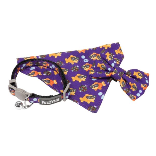 Caturday night Fever - Pack fashion para gatos