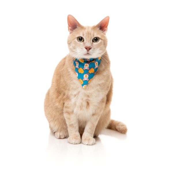 Cheesy Hearts - Pack fashion para gatos Cheesy Hearts - Pack fashion para gatos - vista 2