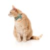 Cheesy Hearts - Pack fashion para gatos Cheesy Hearts - Pack fashion para gatos - vista 3