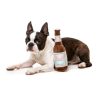 Drool Light - Juguete para perros - vista 2