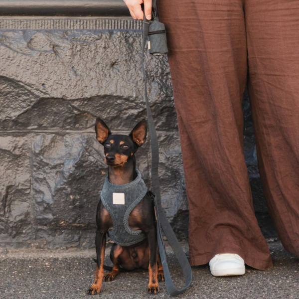 Slate Grey - Dispensador de bolsas de pana FuzzYard Life Slate Grey - Dispensador de bolsas de pana FuzzYard Life - vista 2
