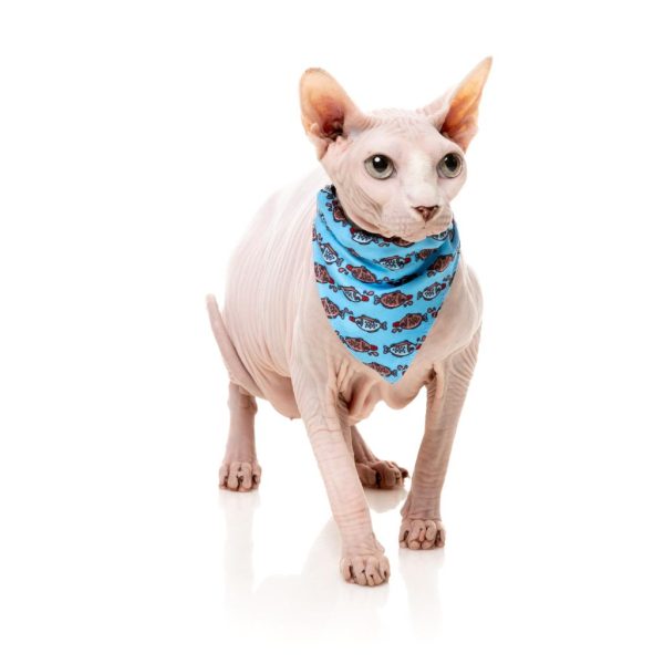 Soy Sauce fish - Pack fashion para gatos - vista 2