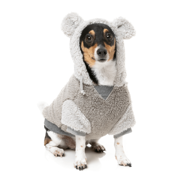 FuzzYard Hoodie - Winnie - Grey FuzzYard Hoodie - Winnie - Grey - vista 3