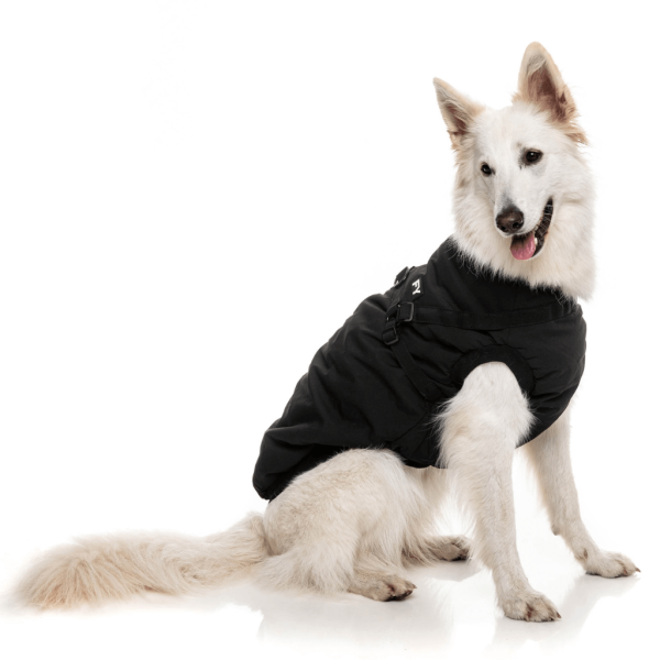 FuzzYard Jacket - Flash - Black FuzzYard Jacket - Flash - Black - vista 3
