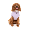 FuzzYard Sweater - Cambridge - Lilac FuzzYard Sweater - Cambridge - Lilac - vista 3