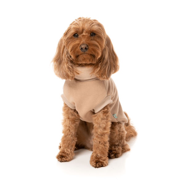 FuzzYard Sweater - Stevie 24 - Beige FuzzYard Sweater - Stevie 24 - Beige - vista 3