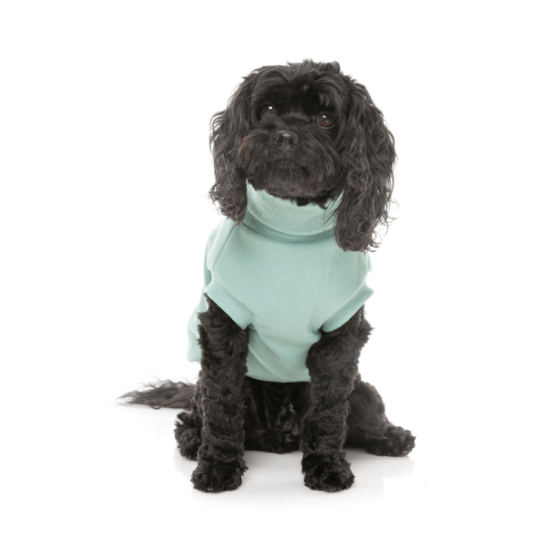 FuzzYard Sweater - Stevie 24 - Mint FuzzYard Sweater - Stevie 24 - Mint - vista 3
