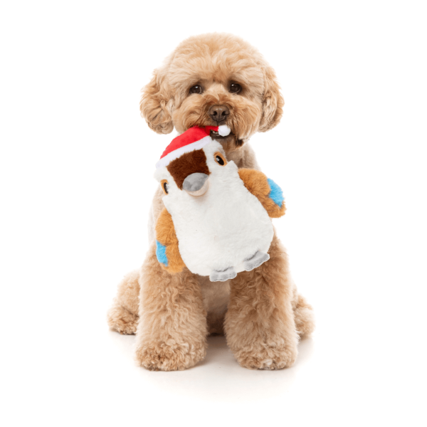 FuzzYard Xmas Toy - Ka-Tree-Na the Kookaburra - vista 2