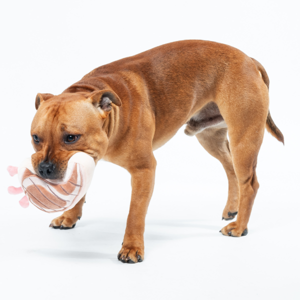 Piggy Smalls - Juguete para perros - vista 3