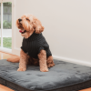 Slate Grey - Suéter de punto FuzzYard Life - vista 3
