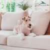 Soft Blush - Suéter de punto FuzzYard Life - vista 3