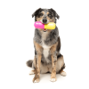 Chill Pill Dispensador de premios - Juguete interactivo para perros - vista 3