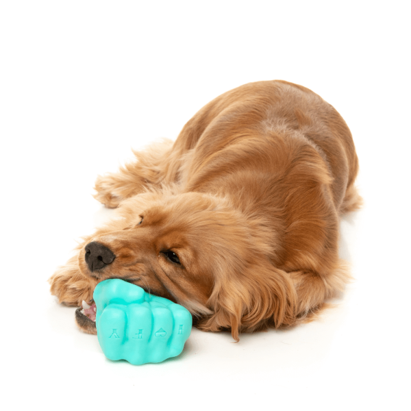 Knuckle Sandwich - Juguete interactivo para perros - vista 3