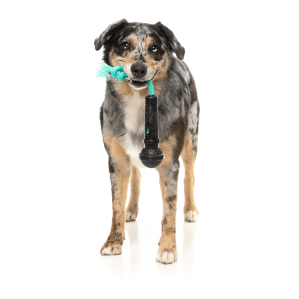 Mic-Drop - Juguete interactivo para perros - vista 3