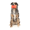 Pina Coolada Freeze - Juguete interactivo para perros - vista 3