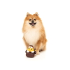 Amelia Quackhart Duck - Juguete para perros Amelia Quackhart Duck - Juguete para perros - vista 3