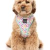Bubblegum Burst - Arnés petral para perros - vista 3