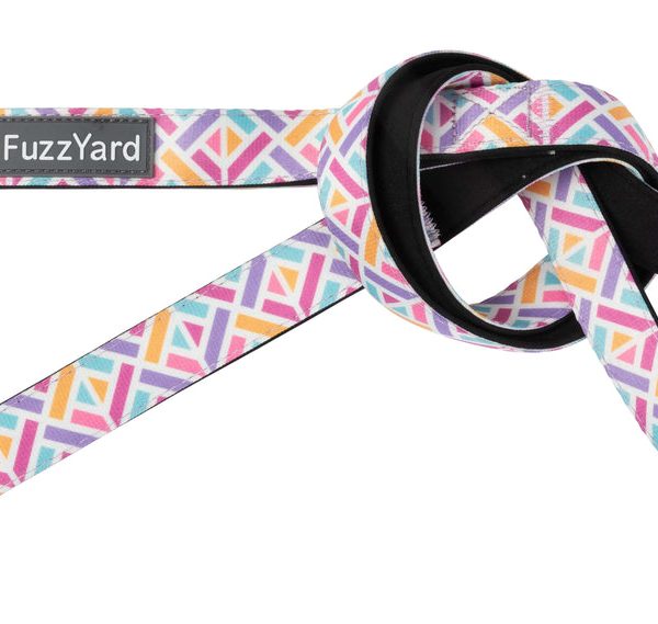 Bubblegum Burst - Correa para perro