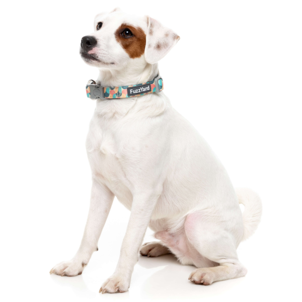 Carioca - Collar para perros Carioca - Collar para perros - vista 3