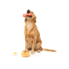 Dog's Breakfast Perfect Match - Juguete para perros - vista 2