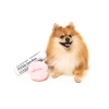 Fetch My Slippers & Paper Perfect Match - Juguete para perros - vista 2