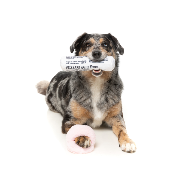 Fetch My Slippers & Paper Perfect Match - Juguete para perros - vista 3