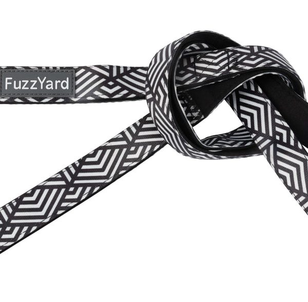 Fitzroy - Correa para perro