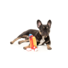 Franky The Homies - Juguete para perros - vista 3