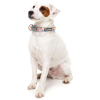 Fresh Zest - Collar para perros - vista 2