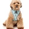 Mint Fizz - Arnés petral para perros - vista 3
