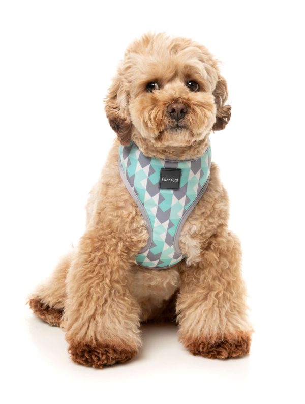 Mint Fizz - Arnés petral para perros - vista 3