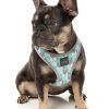 Mint Fizz - Arnés Step In para perros - vista 3