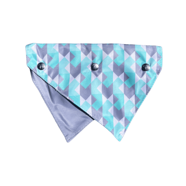 Mint Fizz - Bandana